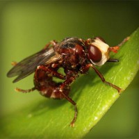 /album/club-penguin-com/photolia-a06-jpg/